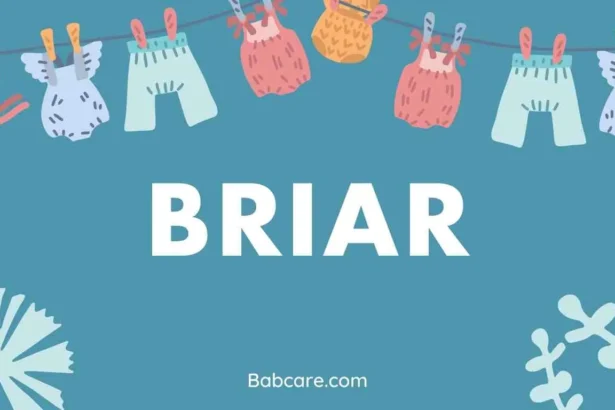 Briar Name Meaning