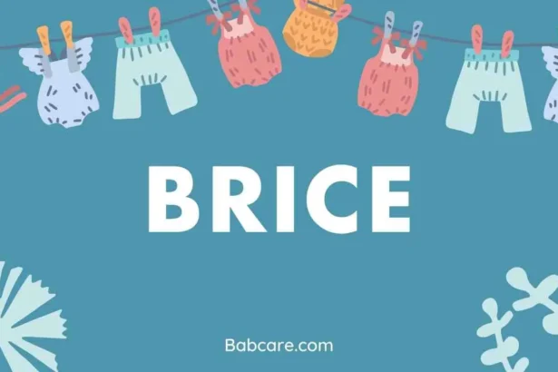 Brice Name Meaning