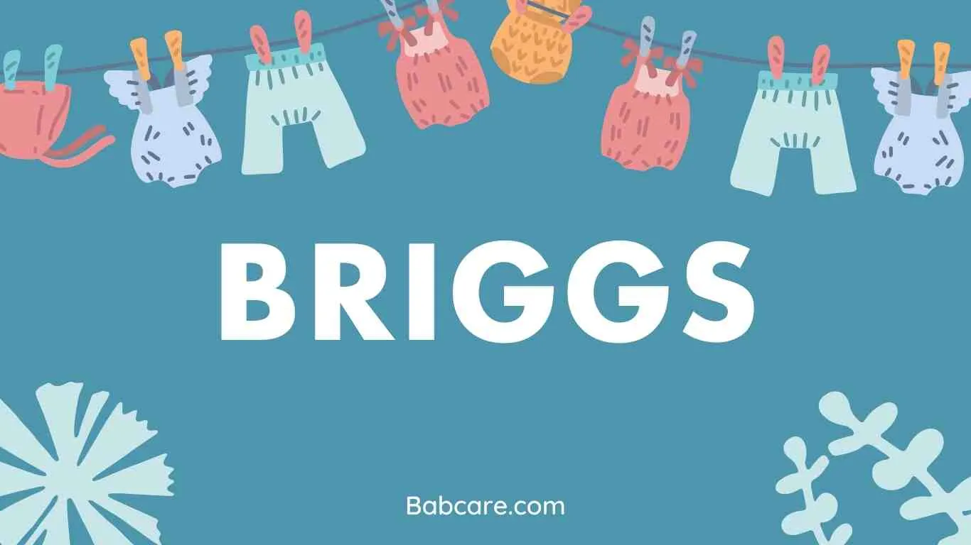 Briggs Name Meaning