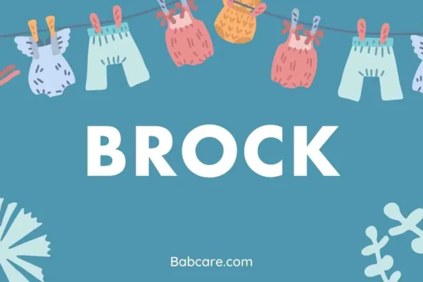 Brock Name Meaning