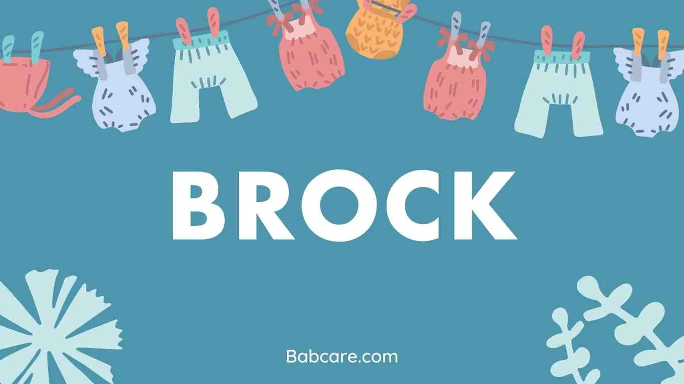 Brock Name Meaning