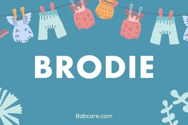 Brodie Name Meaning