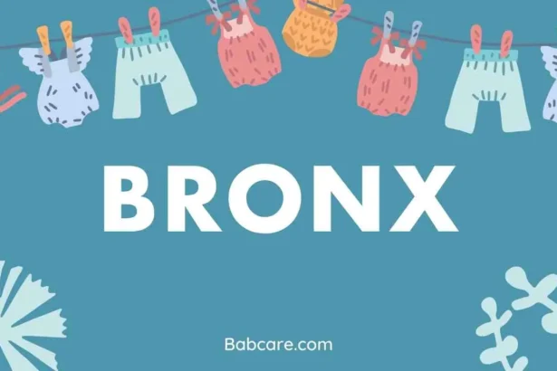 Bronx Name Meaning