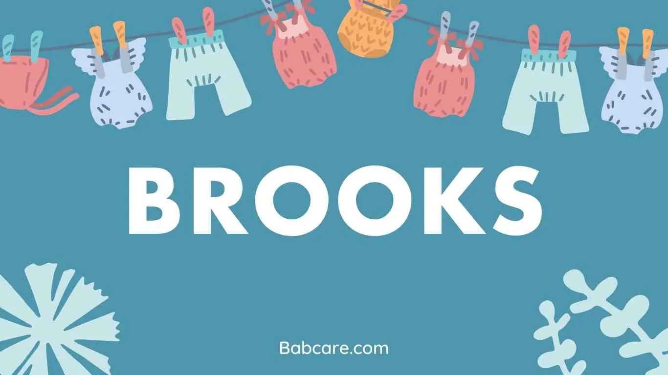 Brooks Name Meaning