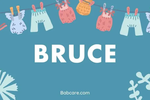 Bruce Name Meaning