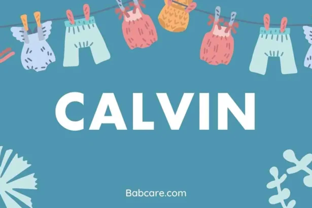 Calvin Name Meaning