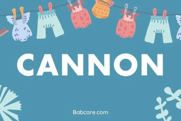 Cannon Name Meaning