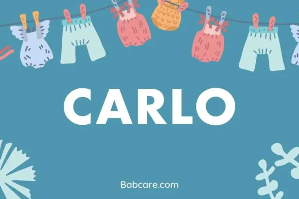 Carlo Name Meaning