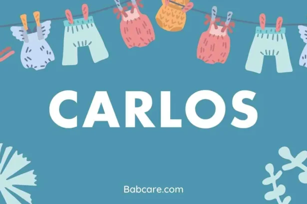 Carlos Name Meaning