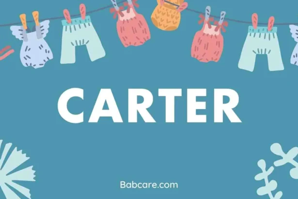 Carter Name Meaning