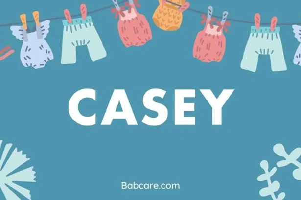 Casey Name Meaning