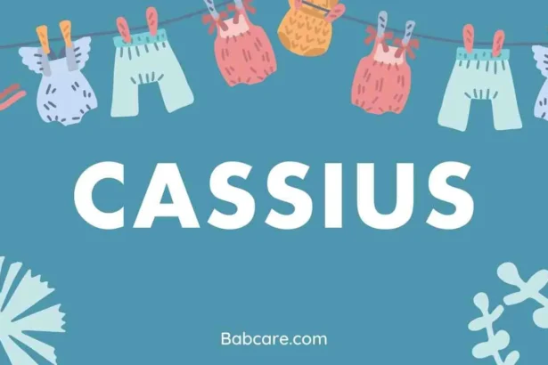 Cassius Name Meaning