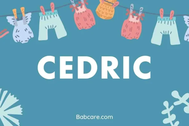 Cedric Name Meaning