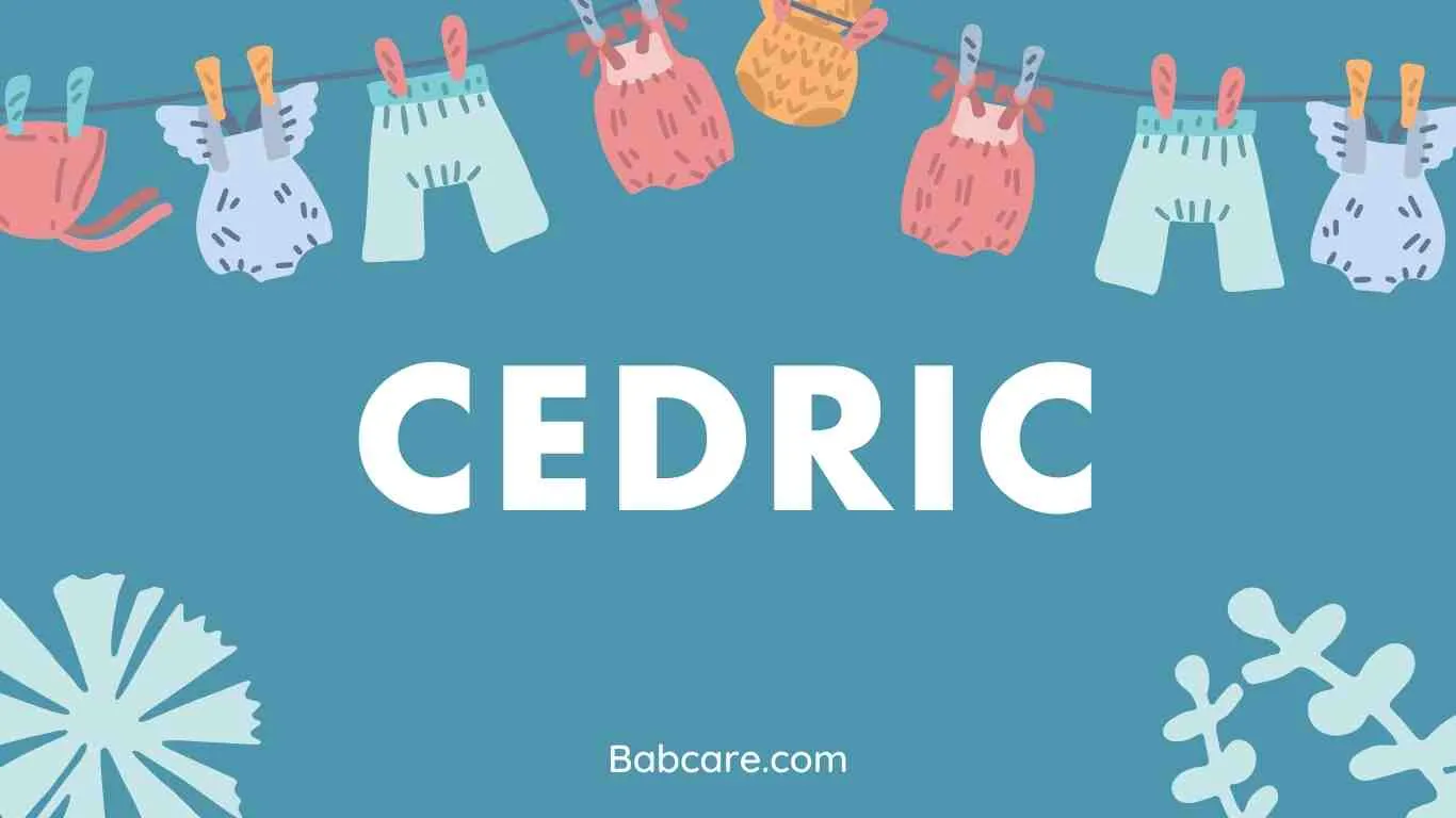 Cedric Name Meaning