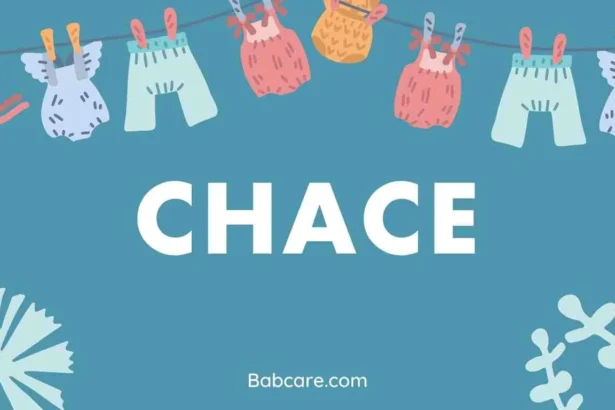 Chace Name Meaning