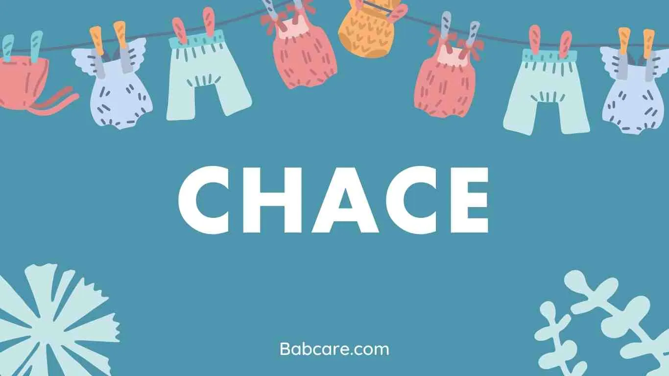 Chace Name Meaning