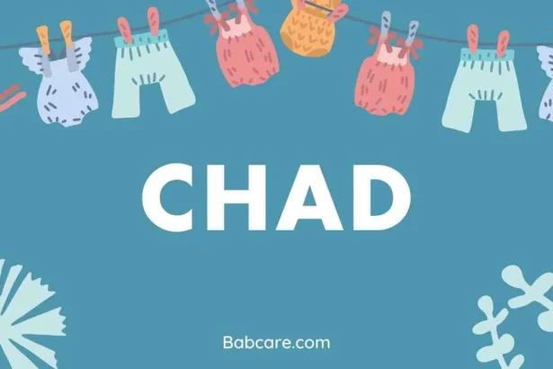 Chad Name Meaning