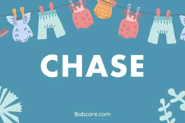 Chase Name Meaning