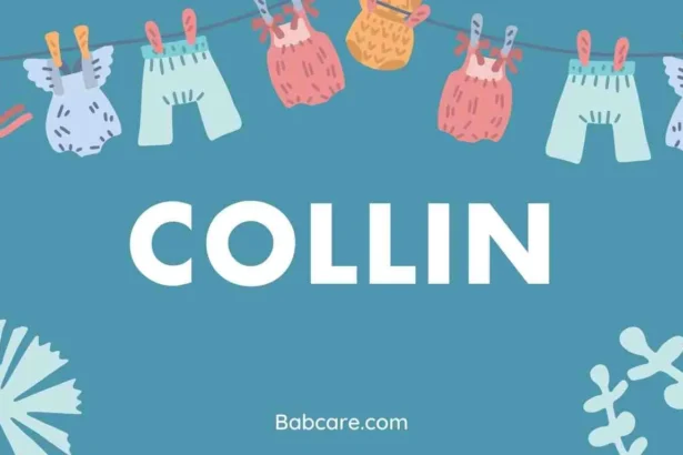 Collin Name Meaning