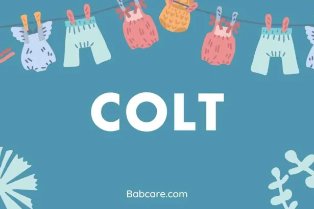 Colt Name Meaning