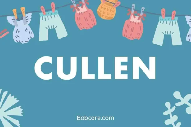 Cullen Name Meaning