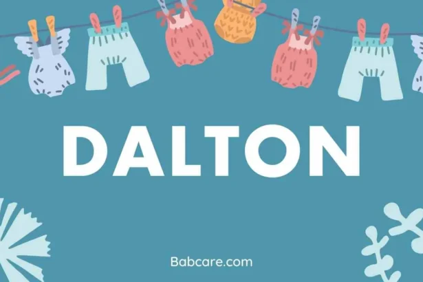 Dalton Name Meaning