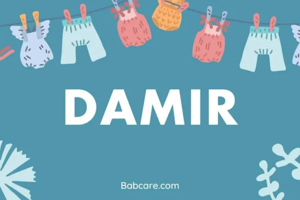 Damir Name Meaning