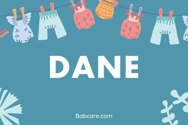 Dane Name Meaning