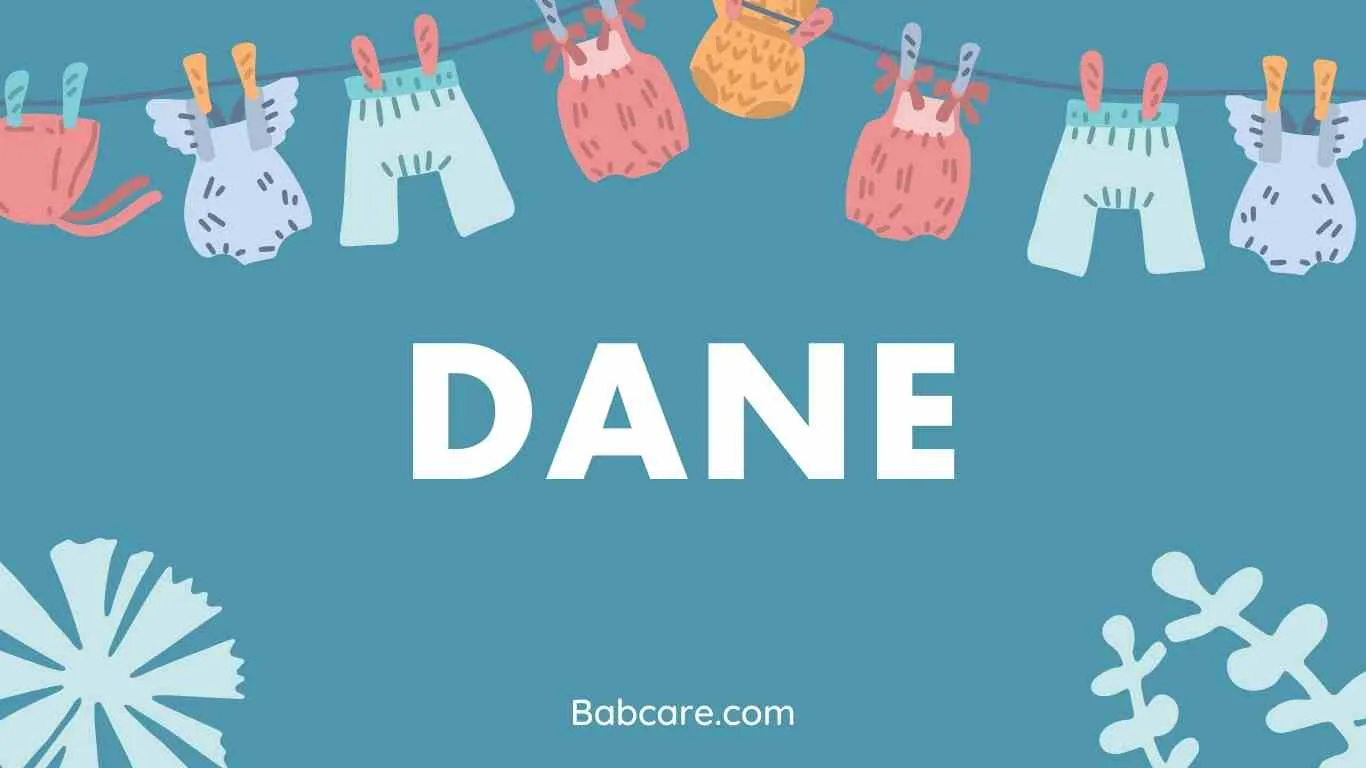 Dane Name Meaning