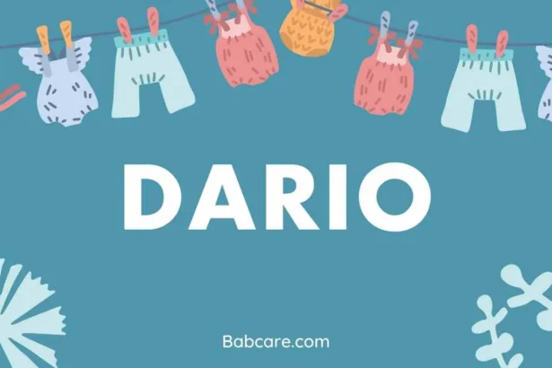 Dario Name Meaning