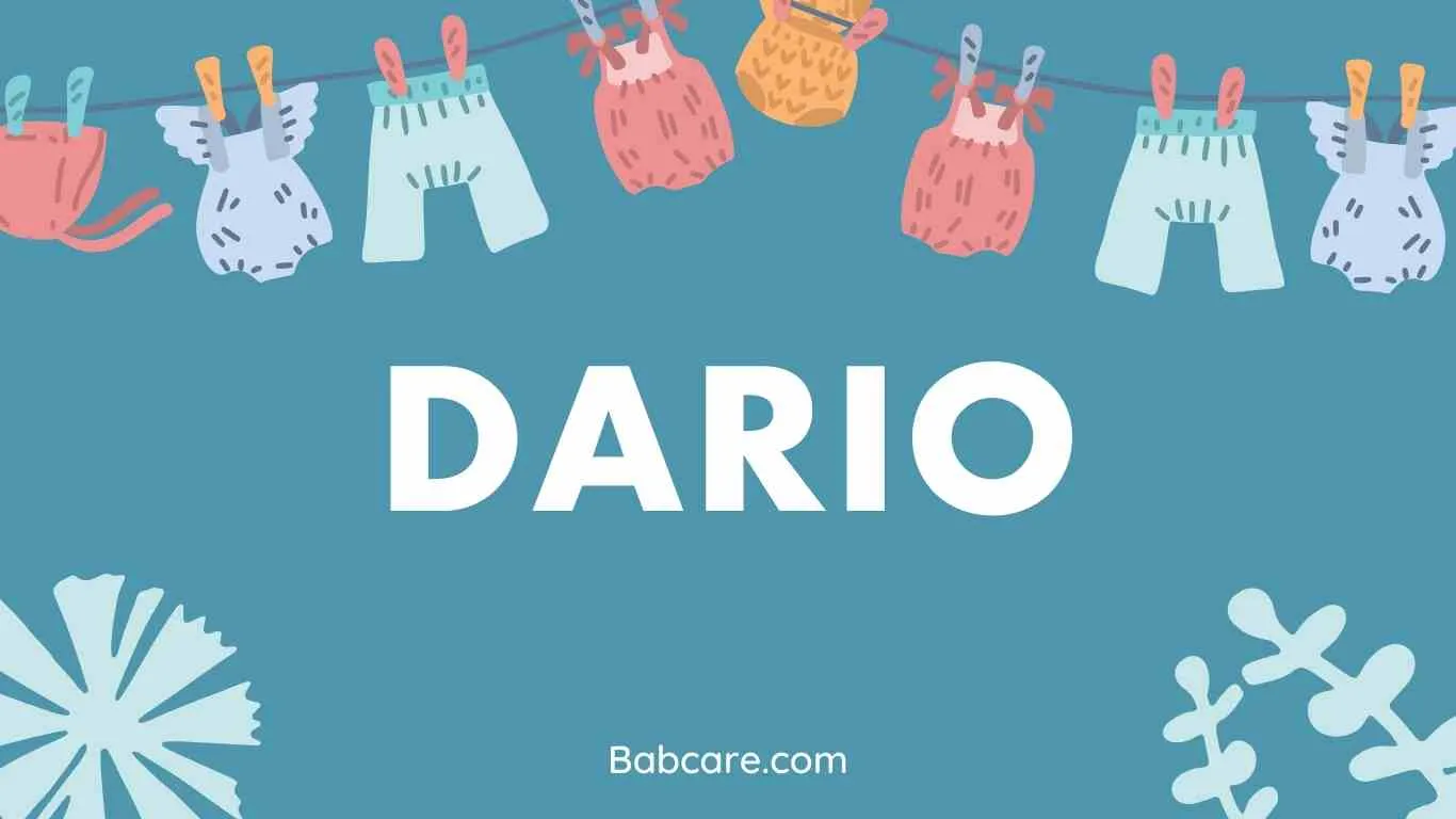 Dario Name Meaning