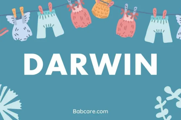 Darwin Name Meaning