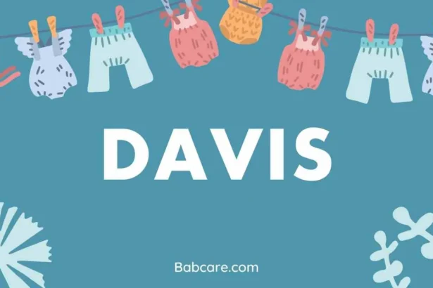 Davis Name Meaning