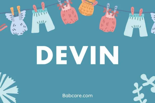 Devin Name Meaning