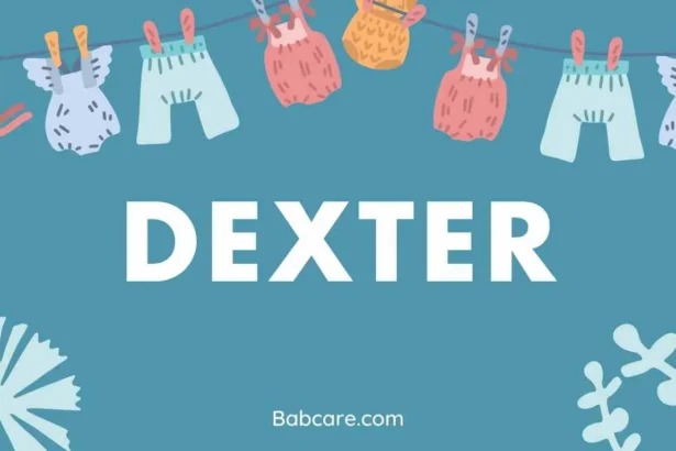 Dexter Name Meaning