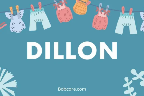 Dillon Name Meaning