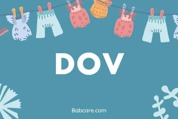 Dov Name Meaning