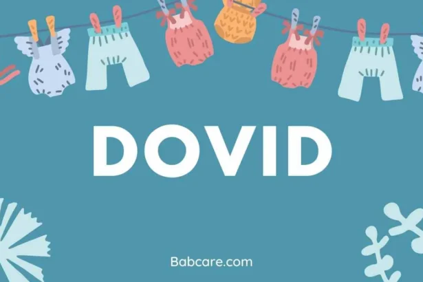 Dovid Name Meaning