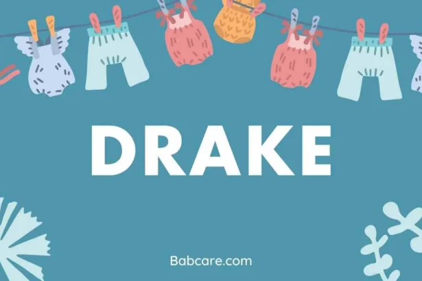 Drake Name Meaning