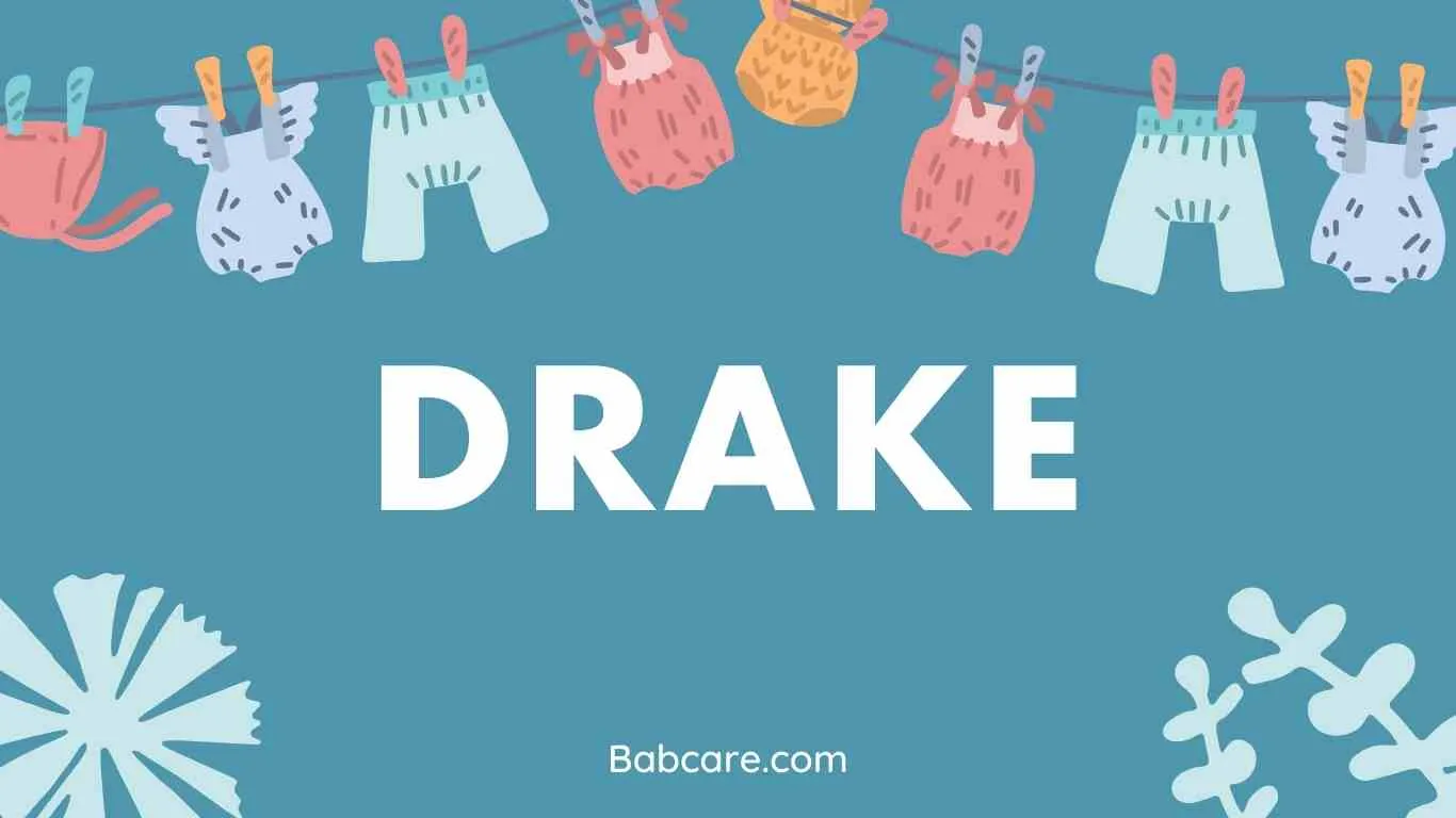 Drake Name Meaning