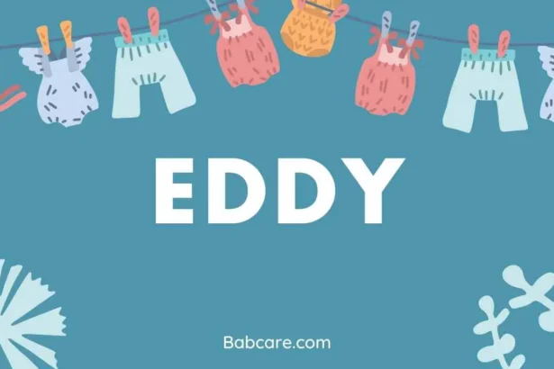 Eddy Name Meaning