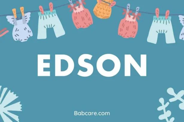 Edson Name Meaning