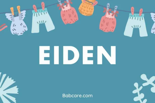 Eiden Name Meaning