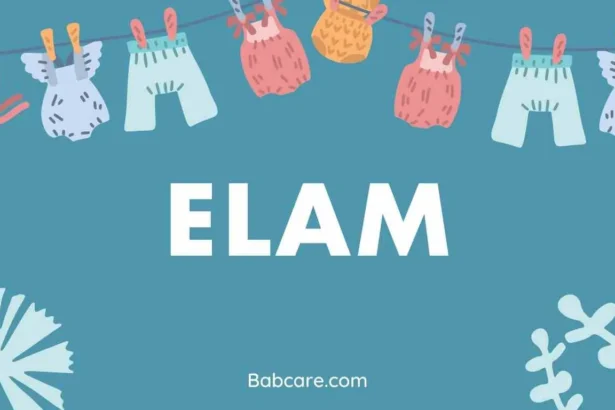 Elam Name Meaning