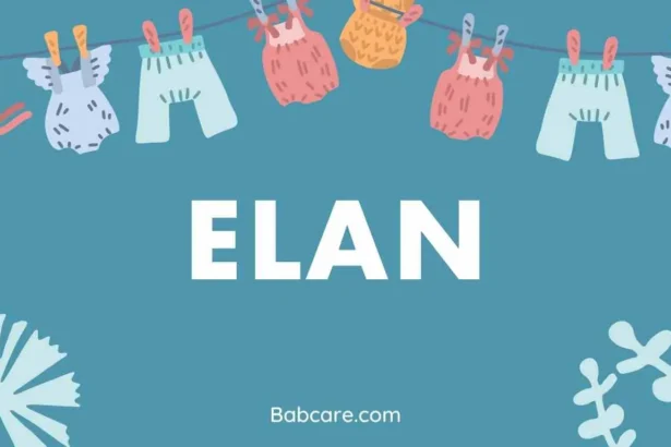 Elan Name Meaning