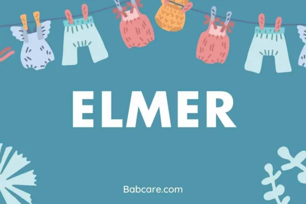 Elmer Name Meaning