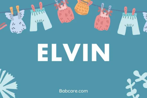 Elvin Name Meaning