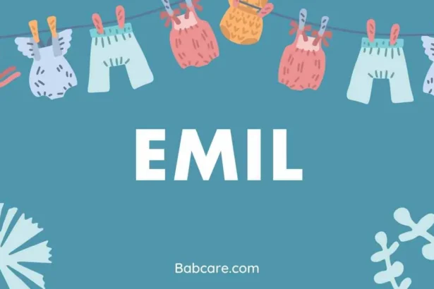 Emil Name Meaning