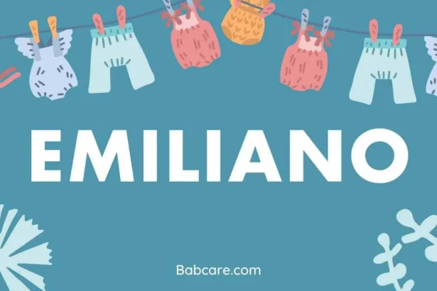 Emiliano Name Meaning