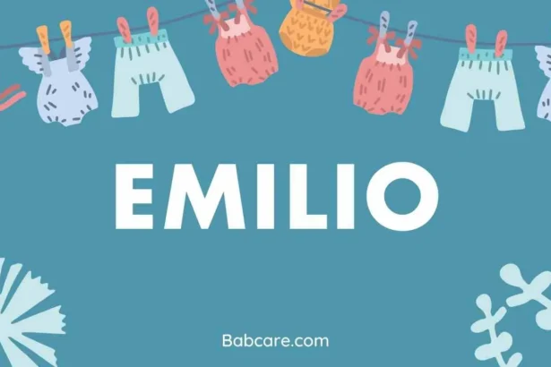 Emilio Name Meaning